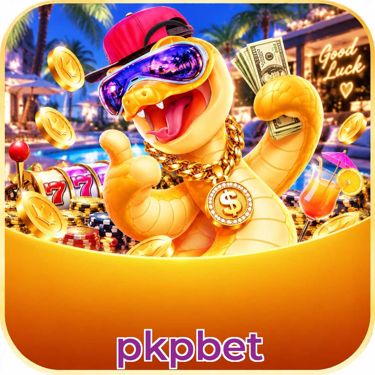 pkpbet App vs Web